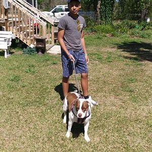 Meet your Posher, Brandon